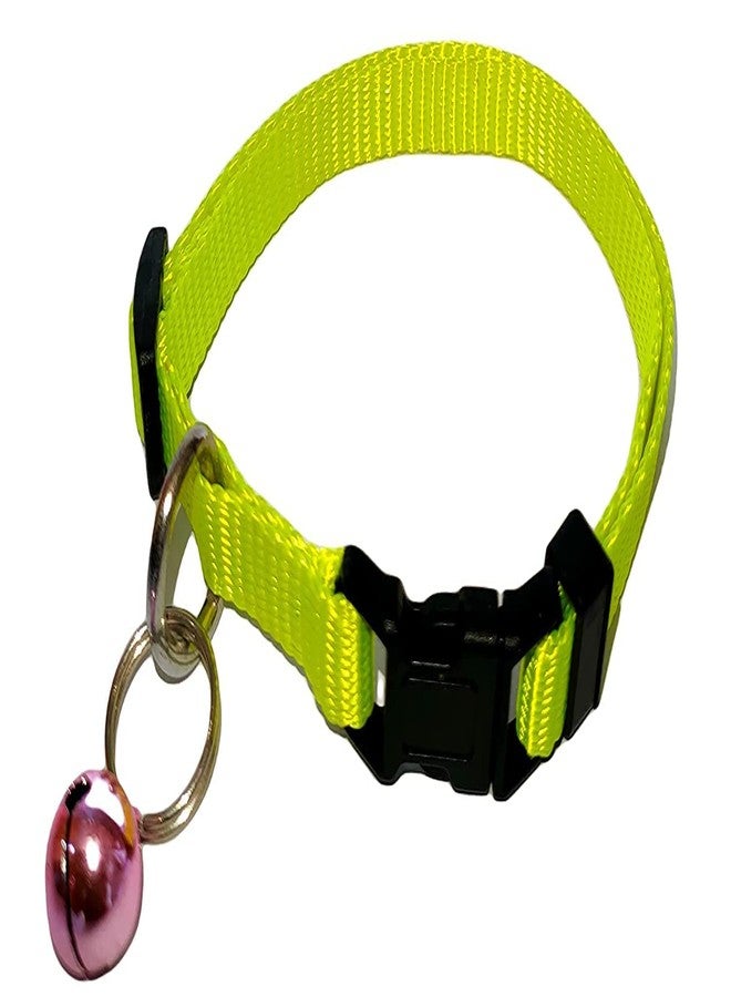 Pups&Pets Cat Collar with Bell, Green (X-Small Size) - 10MM - Image 1